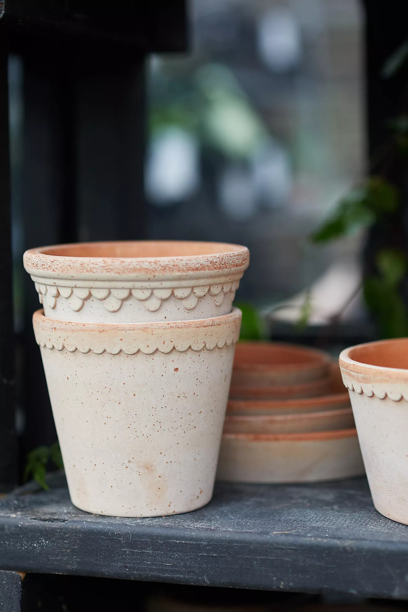 Bergs Copenhagen Terracotta Pot + Saucer Set | Terrain
