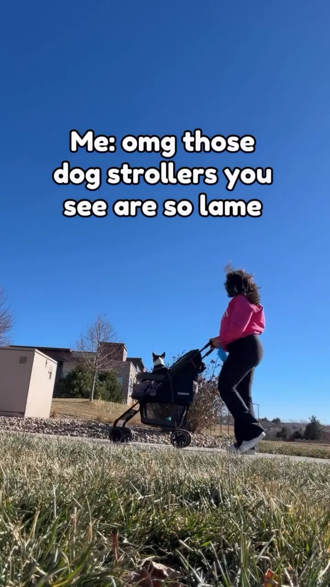 This stroller isn’t a permanent thing for Freddy Fred. He recently injured something in his neck/shoulder area and can’t be as active for the next month. 

Nothing is broken or majorly hurt, from what we know, and he’s been healing and happy the past few days! 

I wanted to make sure we can still go on daily walks and get fresh air, so I purchased this stroller for the time being. I’m actually really grateful this is an invention, as silly as it is, so I can don’t best to keep his routines. 

He didn’t seem to mind it and was looking around, enjoying his typical walk from a different POV! 

I was researching strollers for a while, and this one had the best reviews and seemed the safest and most sturdy.

#strollerforsmalldogs #dogsinstrollers 

#LTKdayinmylife #LTKFindsUnder100