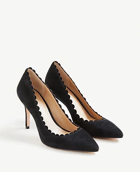Mila Scalloped Suede Pumps | Ann Taylor (US)