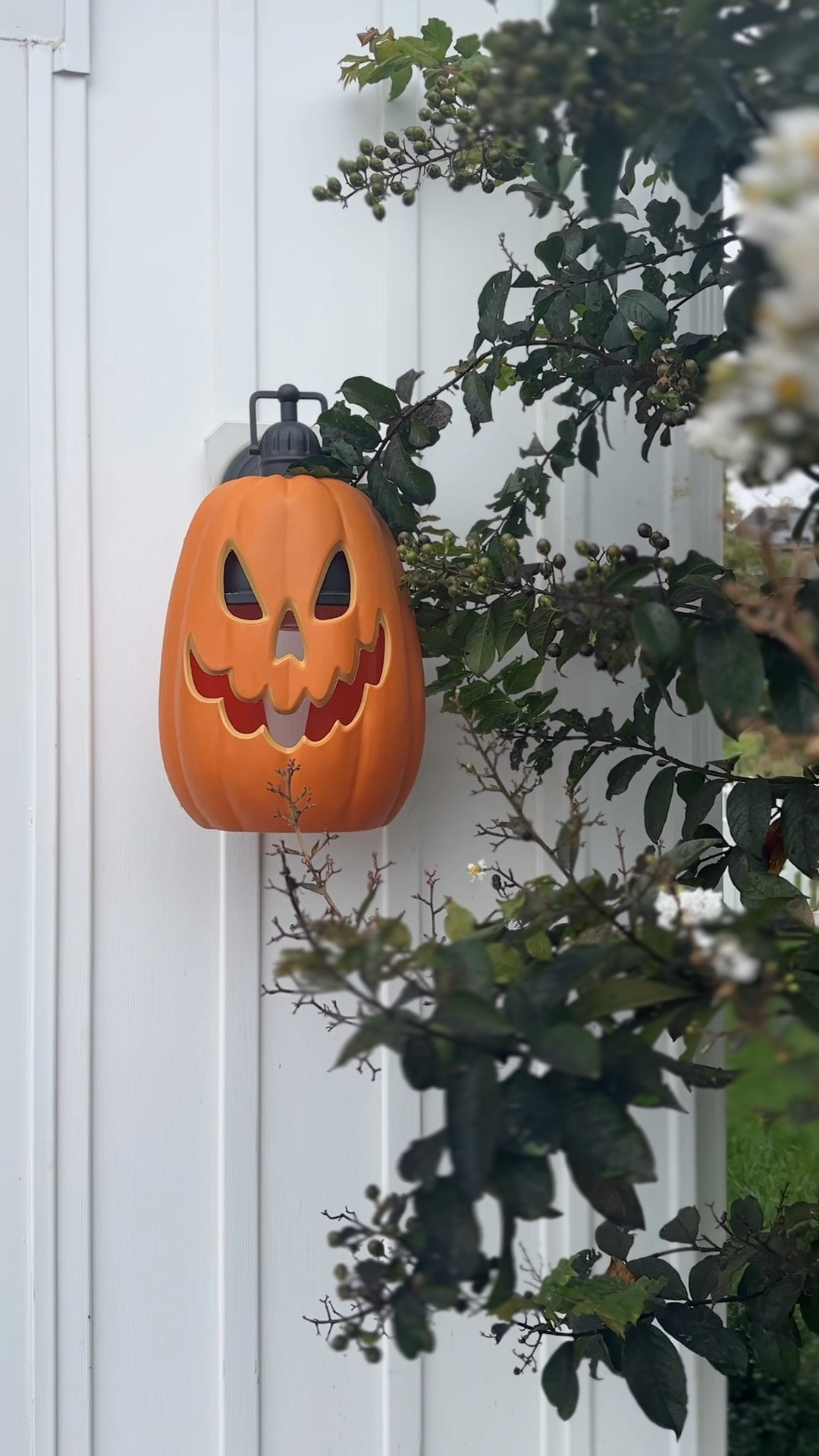 To say I’m obsessed is putting it lightly. I grabbed these plastic pumpkins from target, unscrewed the light,  cut up the back and around the stem. Slipped them over my outdoor lights and that’s it! Happy October! 

#LTKHalloween #LTKHome #LTKVideo