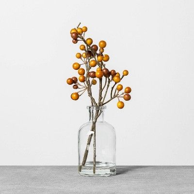 Faux Orange Berry Arrangement - Hearth & Hand™ with Magnolia | Target