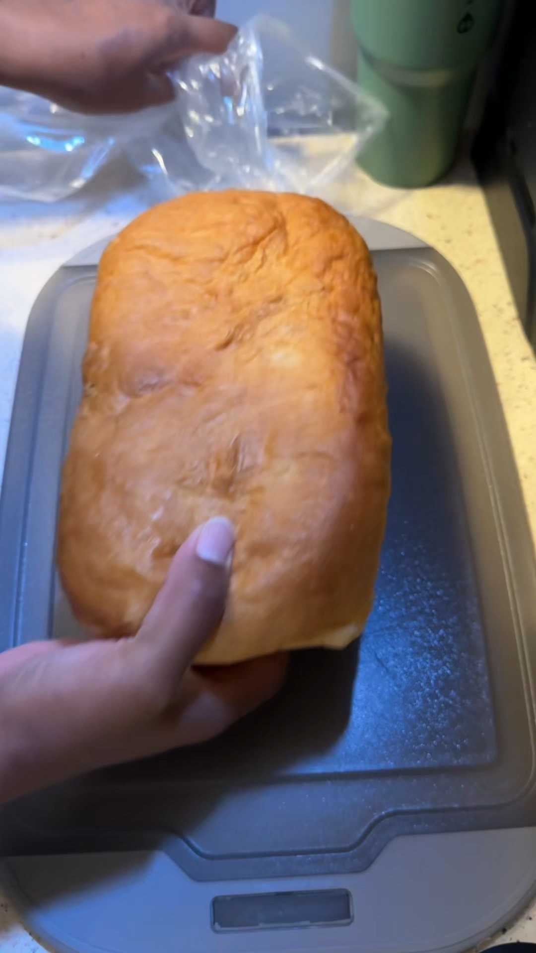 Packing three school lunches wore me out at first, but now I’ve got a little rhythm to it. What’s your school lunch strategy ?

#LTKmomlife #LTKmorningroutine #LTKKids