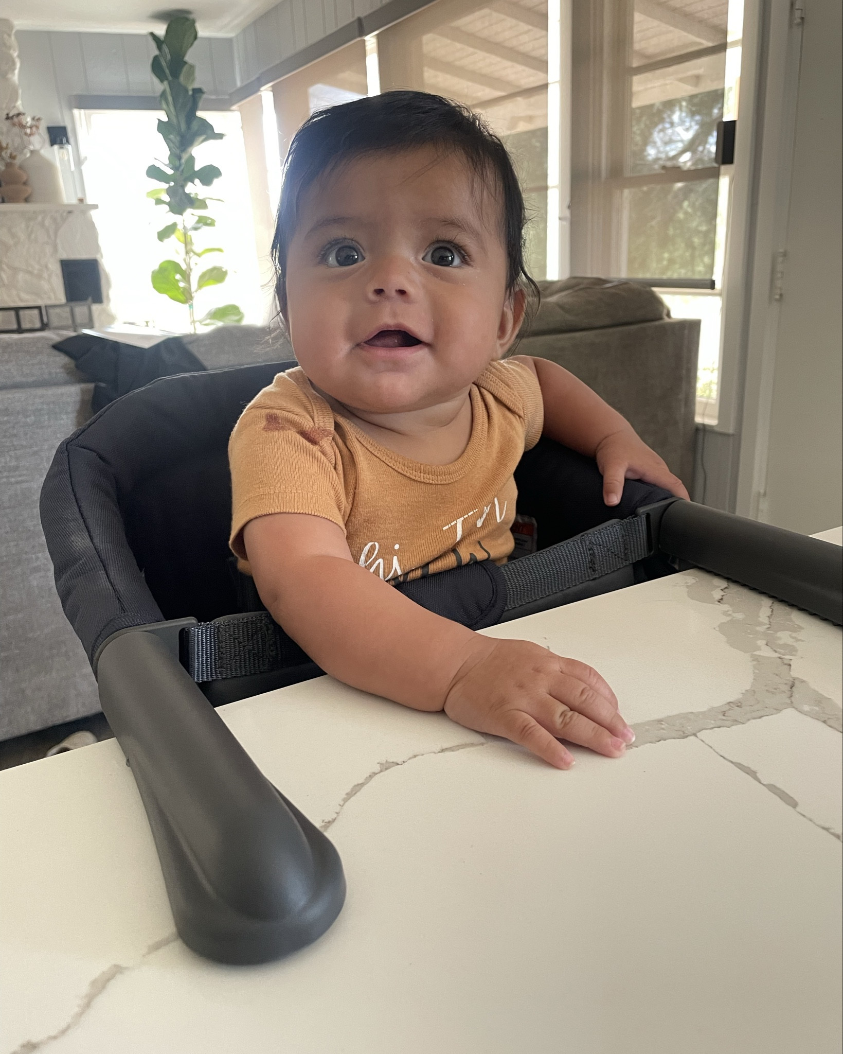 Benji loves his new seat, in my opinion way better than a high chair and super sturdy, sleek, and not overbearing 🤍

#LTKBaby #LTKFamily #LTKBump