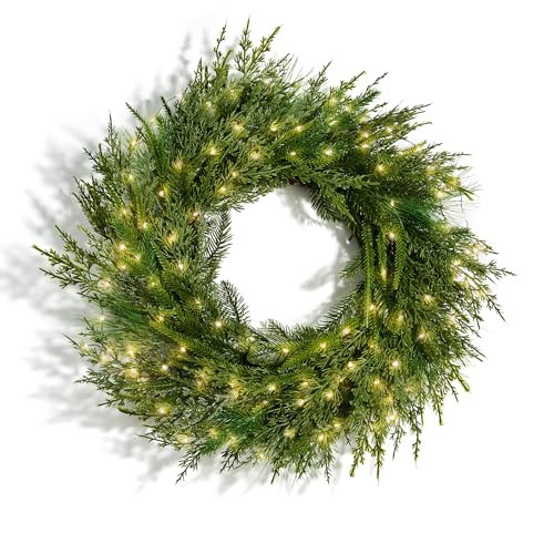 LampLust Winter Wreaths for Front Door Outside, 24 Inch Alpine Fir, Hemlock & Cypress Evergreen Wreath, 100 LED Lights, Battery Powered, Timer, Farmhouse Wreath Year Round, Winter Wreaths for Indoors | Amazon (US)