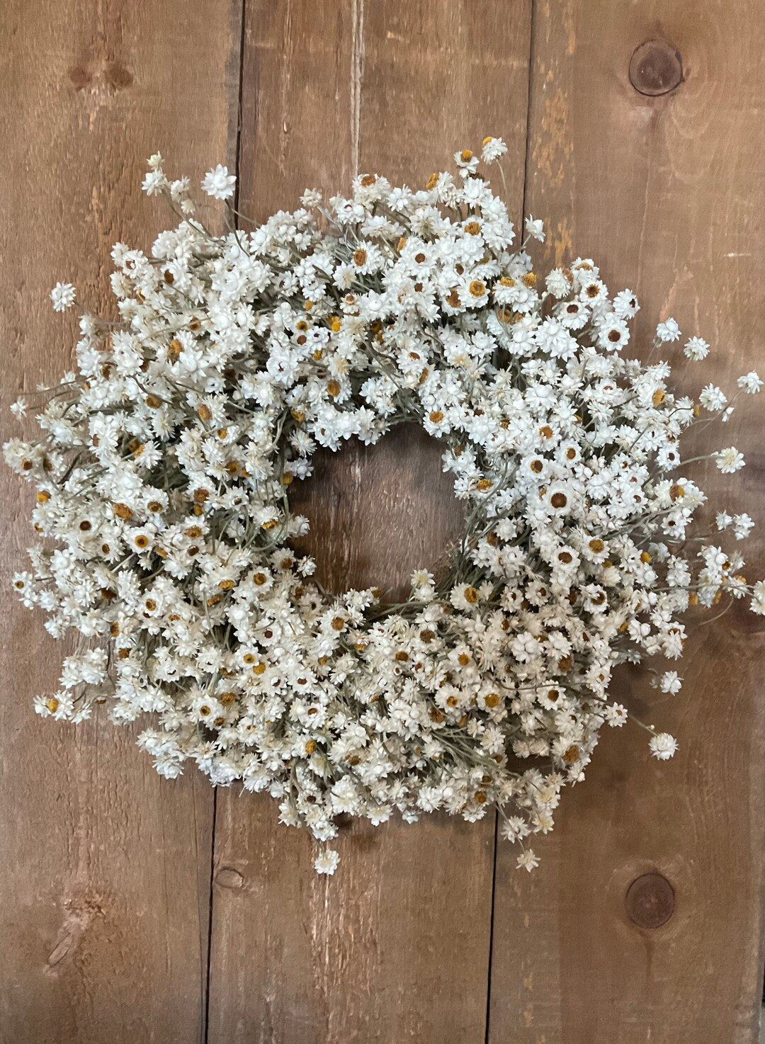 NEW - Dried Ammobium wreath (Winged everlasting) | Etsy (CAD)