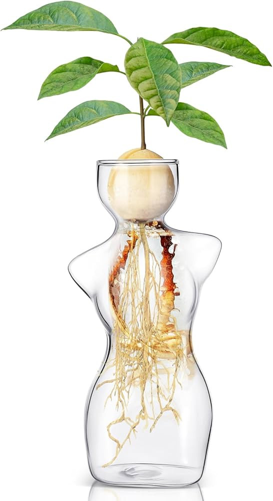 Avocado Propagation Vases for Plants Glass Flower Elegant Female Silhouette Avocado Growing Arran... | Amazon (US)
