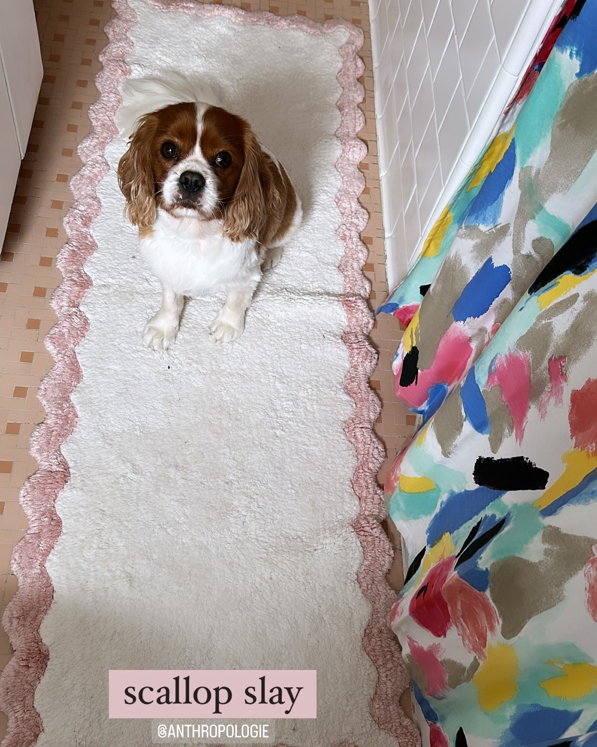 Step into style with this stunning white and pink scalloped bath rug! 🛁✨ Elevate your bathroom decor with a touch of elegance and whimsy. #FreshAndFun #BathroomBliss #ScallopedChic

#LTKfindsunder100 #LTKhome