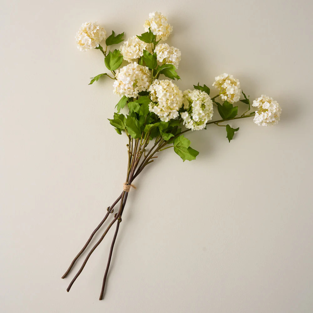 Snowball Hydrangea Bundle | Magnolia