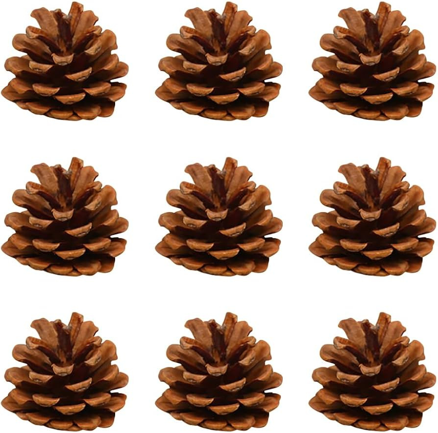 GSHLLO 30 Pcs Natural Pine Cones Rustic Christmas Pinecones Winter Pinecone Ornaments Vase Filler... | Amazon (US)