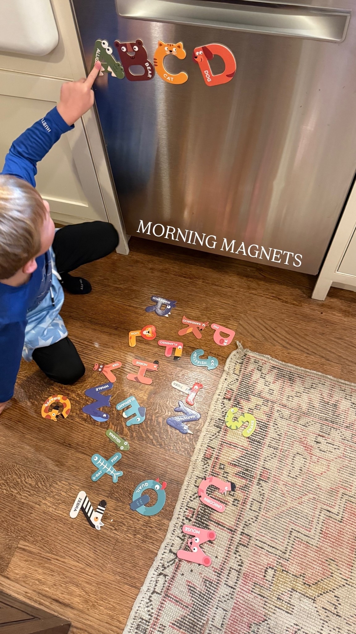 Kids alphabet animal magnets

#LTKmomlife #LTKKids