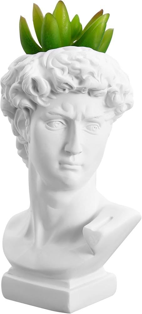 Greek Statue David Heads Planter: Face Vases for Flowers Furniture Sculpture Holder Resin Head Ce... | Amazon (US)
