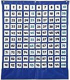 Carson Dellosa Deluxe Hundreds Pocket Chart—Blue Organizer with 224 Number Cards, Counting, Addition | Amazon (US)