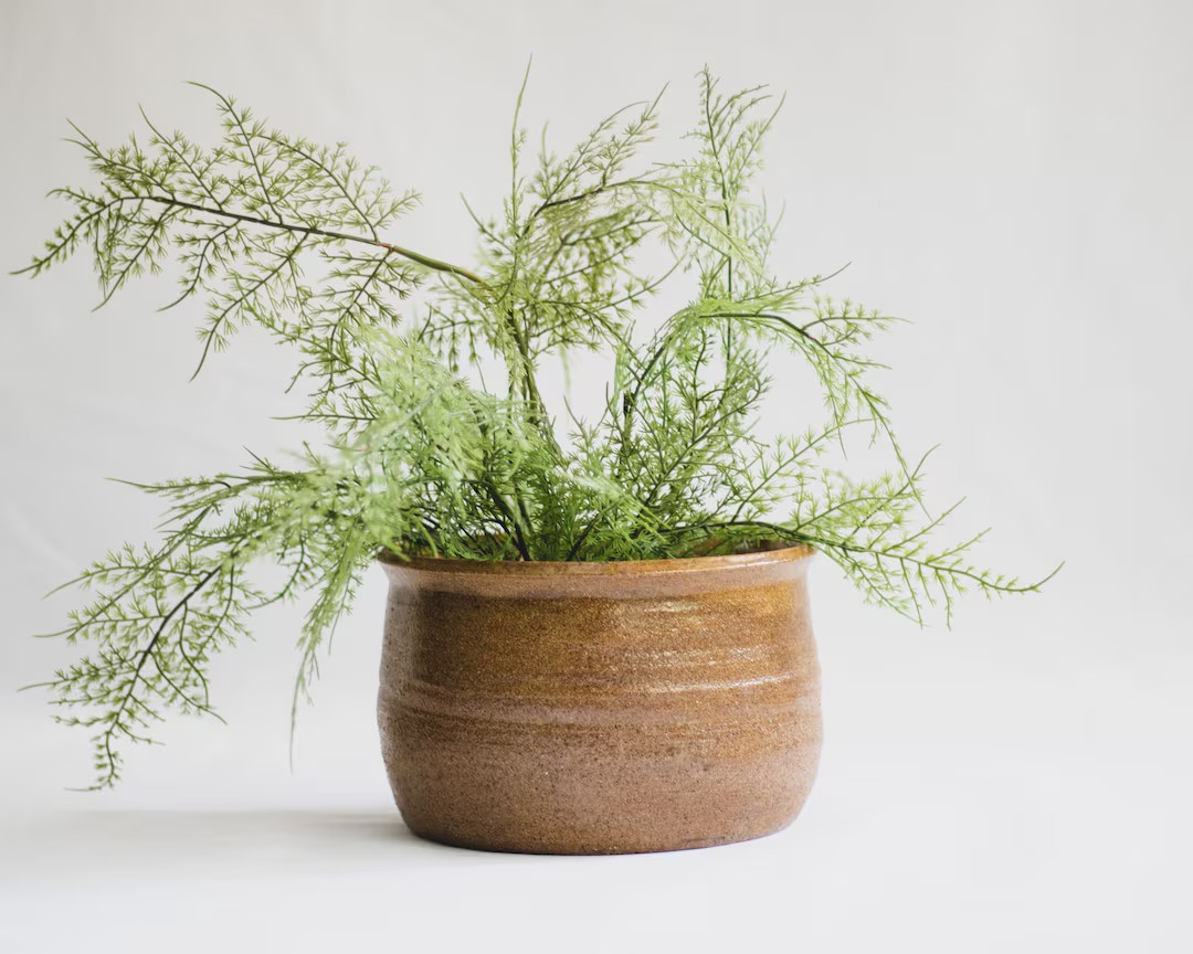 Vintage Handmade Planter, Mustard Studio Pottery, Modern Minimal Wabi Sabi Decor - Etsy | Etsy (US)