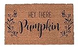 Hey There Pumpkin Doormat - Welcome Mat - Welcome Doormat - Cute Doormat - Funny Doormat - Pumpkin D | Amazon (US)