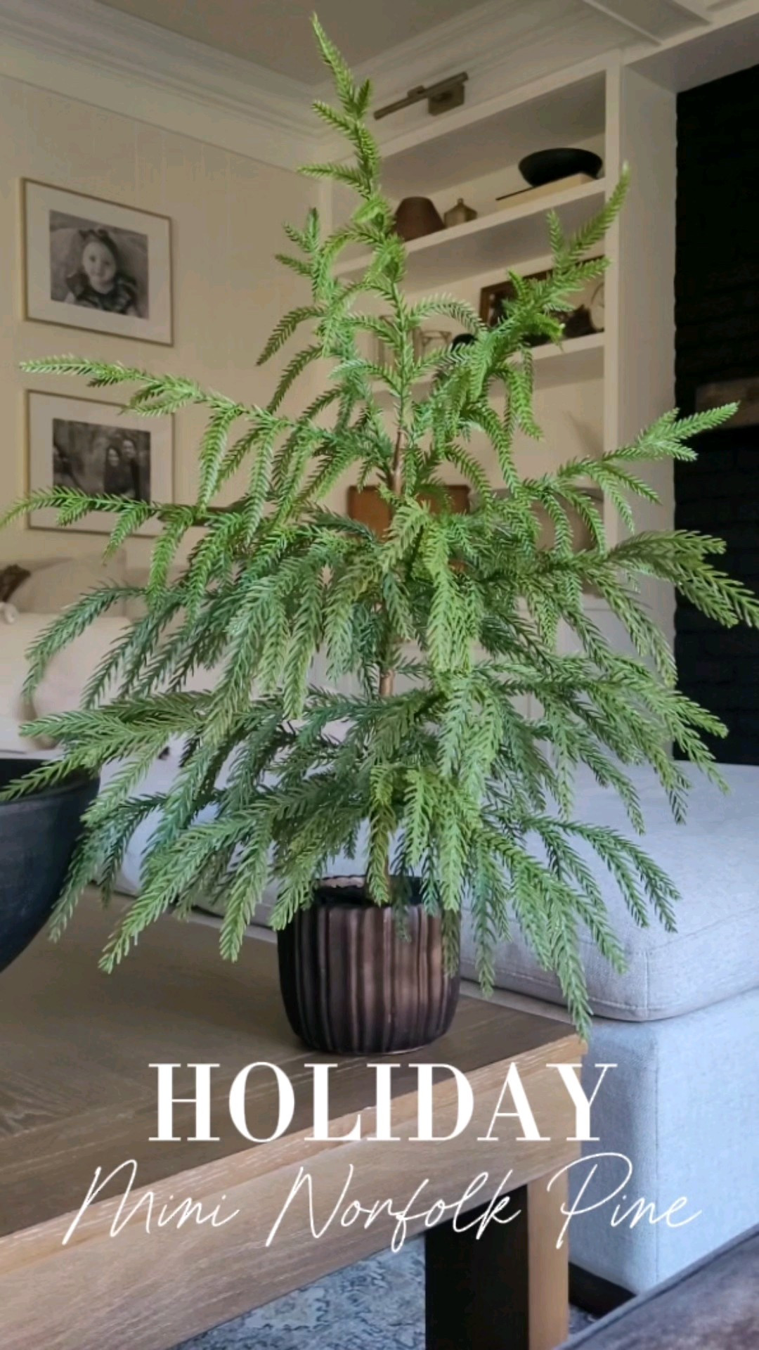 Holiday decor - this mini norfolk pine will sell out! A great tabletop Christmas tree, comes in a fluted planter, affordable, and a great holiday decor staple for shelf styling,  coffee table styling,  and more. Don't be deterred by the stock photo - it looks like this IRL! Greenery,  garland,  Christmas decor

#LTKHome #LTKFindsUnder50 #LTKHoliday
