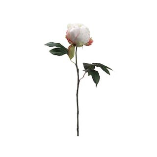 Cream Peony Bud Stem By Allstate | 1.5 ft | Michaels® | Michaels Stores