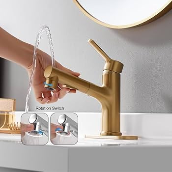 LAZ HOME Bathroom Sink Faucet Single Hole Bathroom Faucet with Pull Out Sprayer Modern Vanity Fau... | Amazon (US)