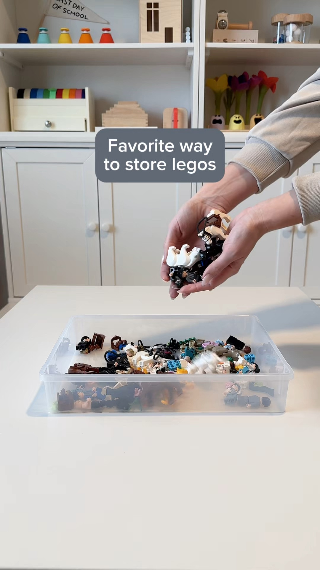 We recently started our Lego collection and this is my favorite way to organize all of our Legos! I love organizing them by color so that they are easy to find! We also recently put in this built-in storage system, which works so great for toys and Legos!

| Amazon find, Amazon must have, Amazon mom, organize, organization, LEGO storage, toy storage solution |

#playroom #organizingtips #organization #organized #organizer #organize #playroomideas #playroomstyling #organizinghacks #playroomfun
#amazon #amazonfinds #amazonmusthaves #amazonprime #toystorage #toystoragesolution #playroomorganization

#LTKFamily #LTKKids #LTKHome