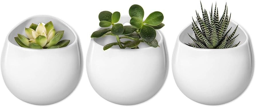 Mkono 4 Inch Wall Mounted Planter Round Ceramic Hanging Plant Holder Decorative Flower Display Va... | Amazon (US)