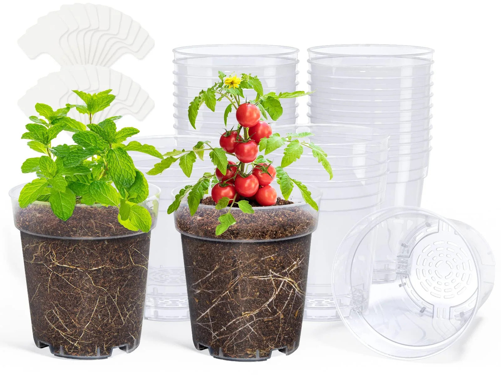 Adrinfly Clear Nursery Pots 5 Inch Plastic Plant Pots with Drainage Holes High Transparency for Seed Starting Seedlings and Cuttings with 20 | Lowe's