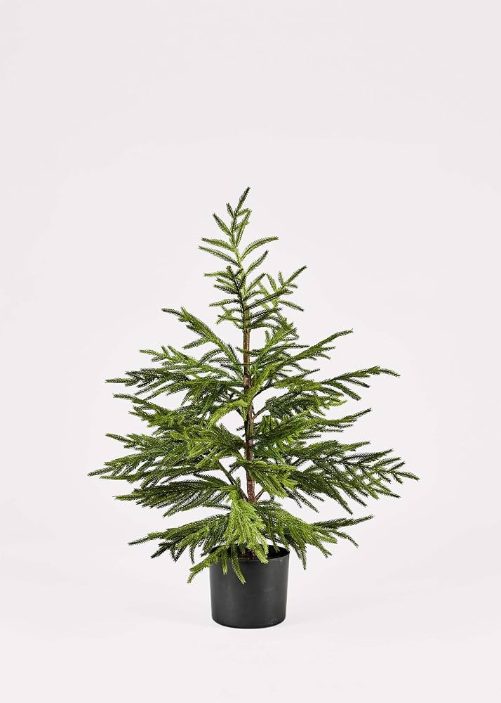 Afloral Artificial Norfolk Pine Tree - 36" | Amazon (US)