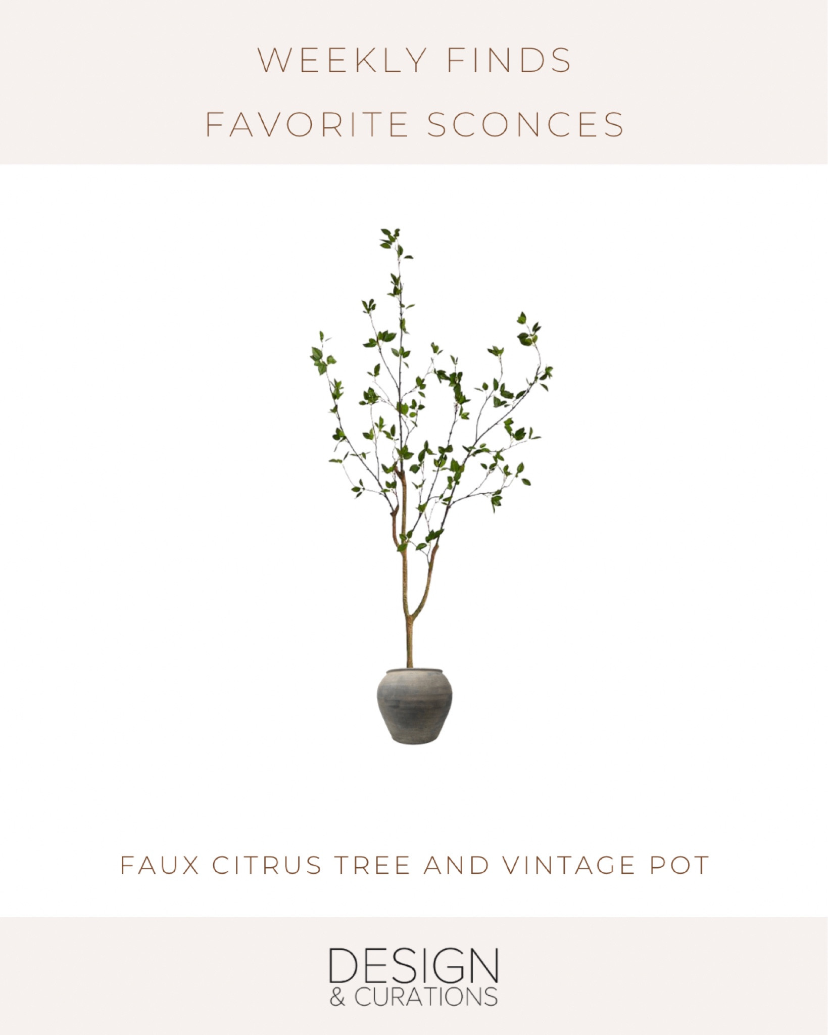 5’ citrus tree 
Faux Plant, organic modern, Mediterranean Vibe home decor! Pottery Barn

#LTKFind #LTKhome