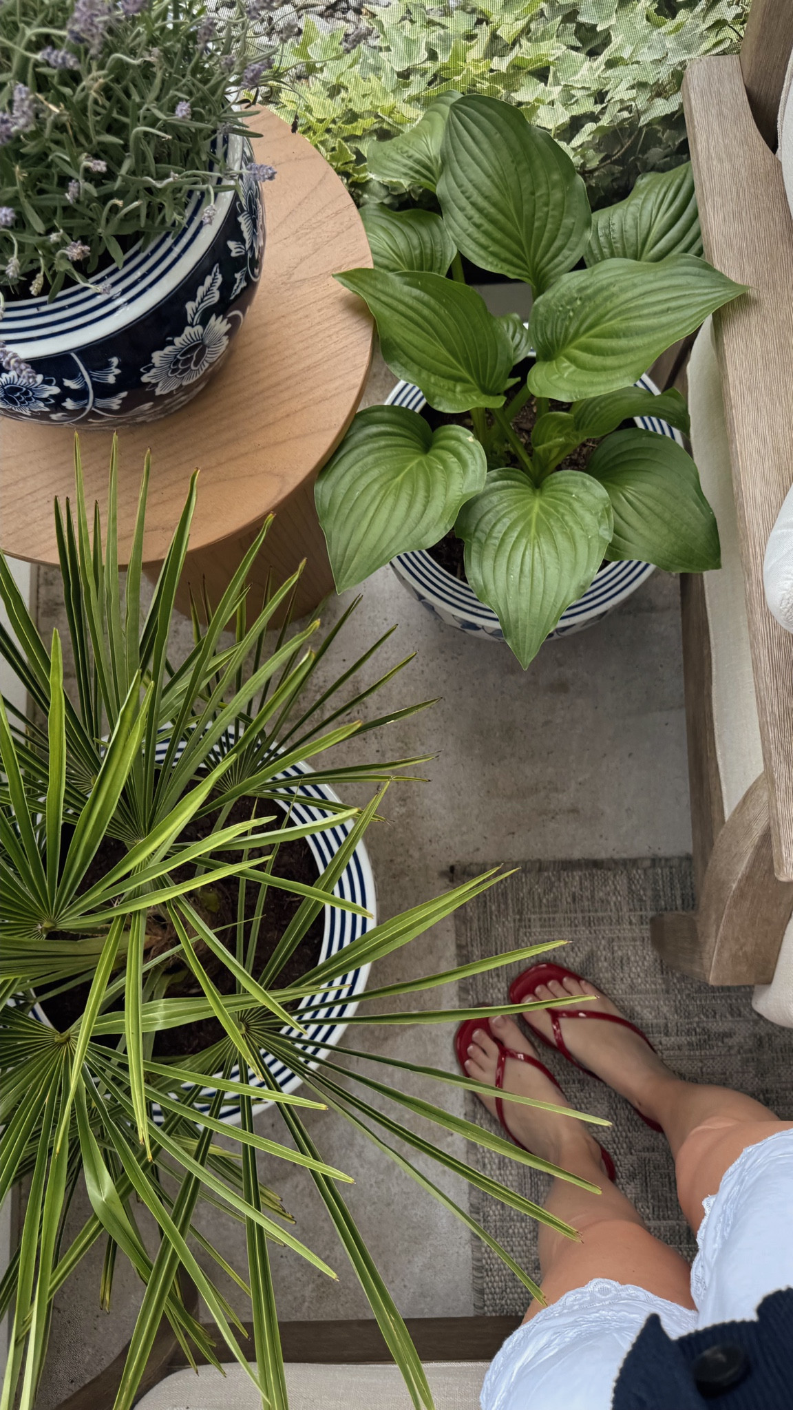 planter set from Williams Sonoma! 

 #LTKSeasonal #LTKHome