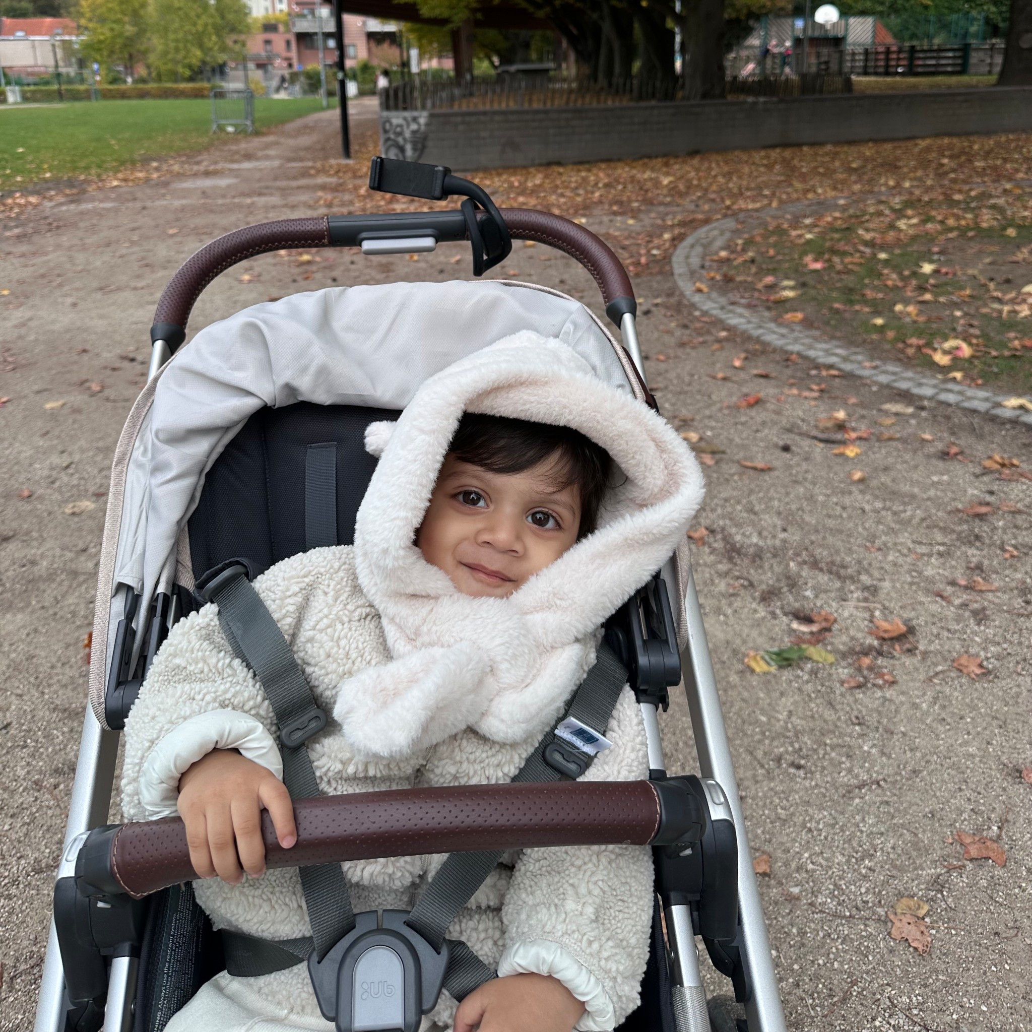 Muffler + hoodie for kids. Toddler winter hat and scarf . Amazon fashion finds. Amazon finds. 

#LTKHoliday #LTKGiftGuide #LTKSeasonal