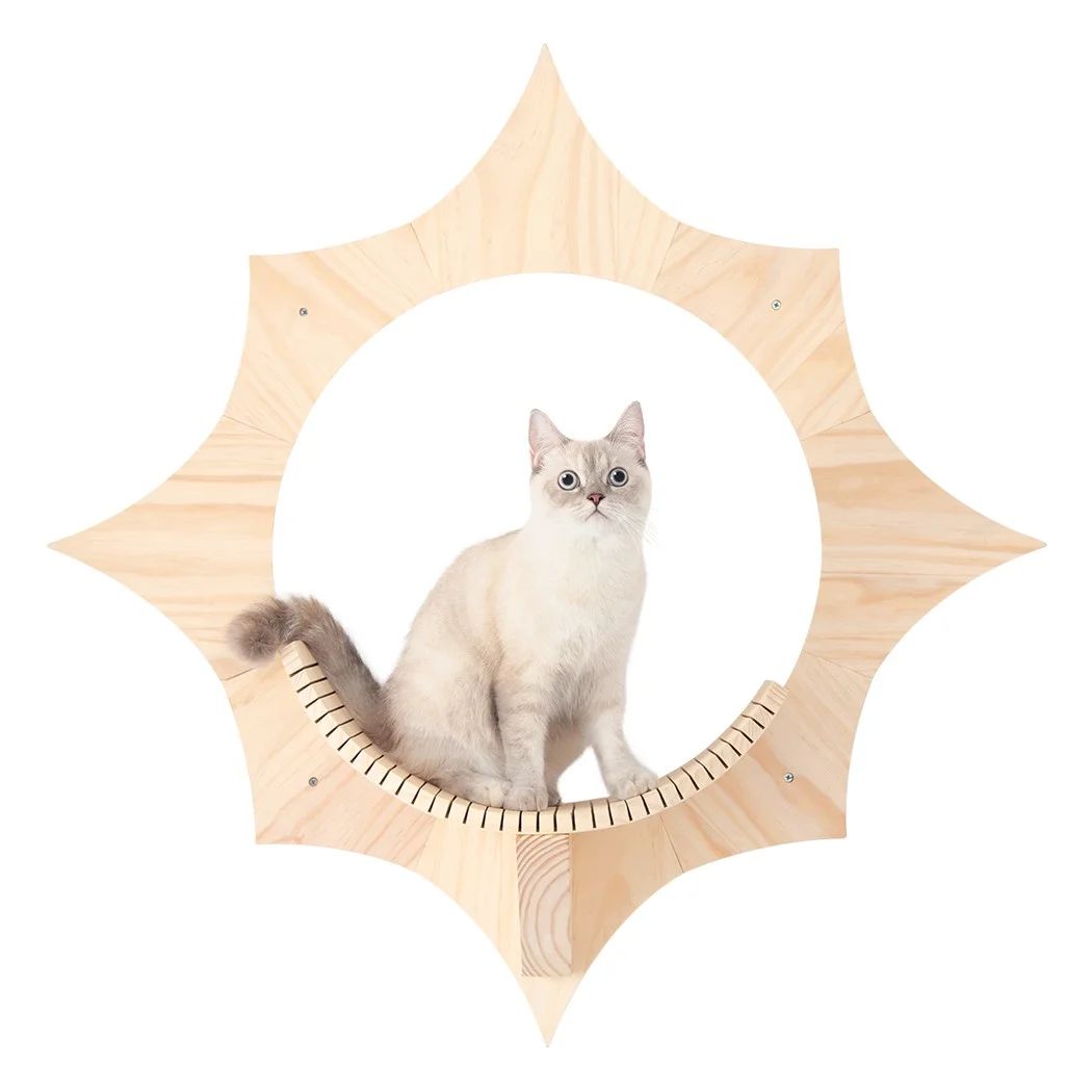 9.84" Roosevelt Cat Perch | Wayfair North America