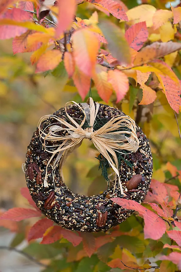 Edible Seed & Pecan Wreath | Terrain