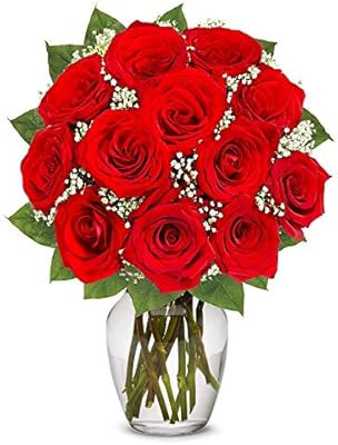 Flowers - One Dozen Long Stemmed Red Roses (Free Vase Included) | Amazon (US)
