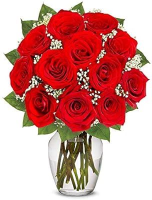 Flowers - One Dozen Long Stemmed Red Roses (Free Vase Included) | Amazon (US)