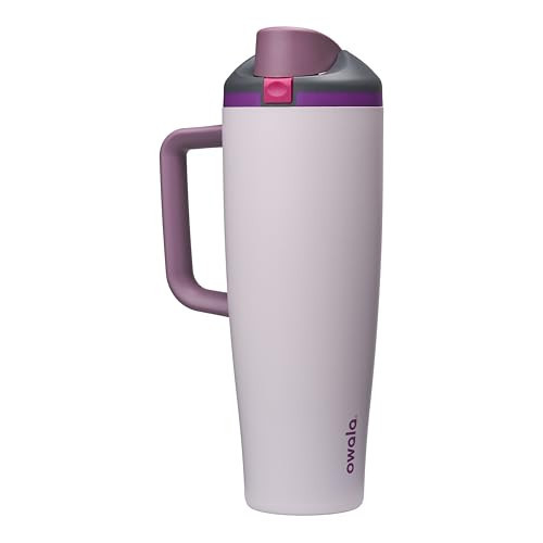 Owala FreeSip Tumbler Insulated Stainless Steel Water Bottle with Built-in Straw and Side Handle, For Travel, Work, School, and Sports, BPA Free, Leak Proof, 40oz, Dreamy Field | Amazon (US)