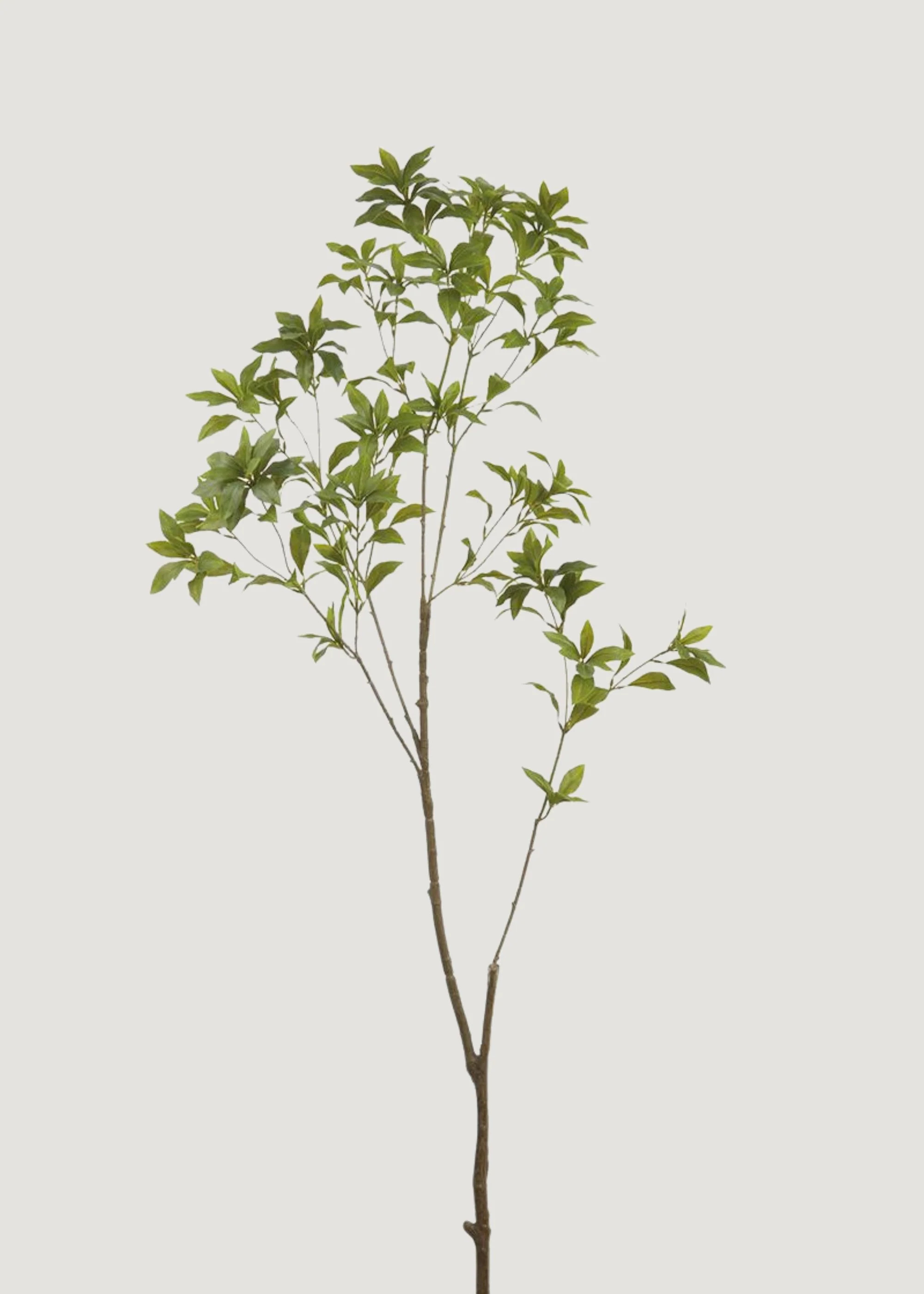 Deluxe Tall Japonica Branch | Artificial Leaf Branches | Afloral | Afloral