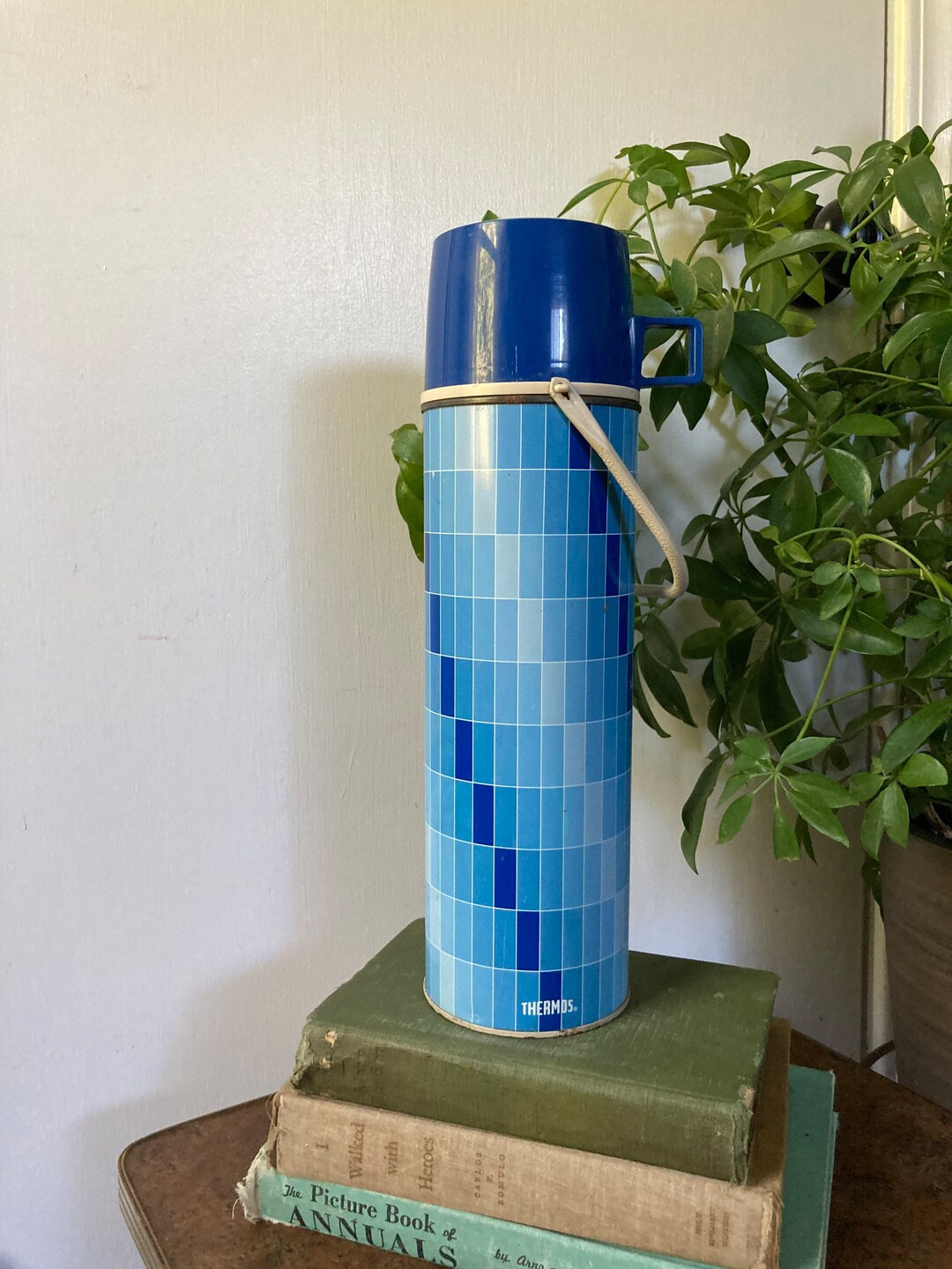Blue metal vintage thermos | Etsy (US)