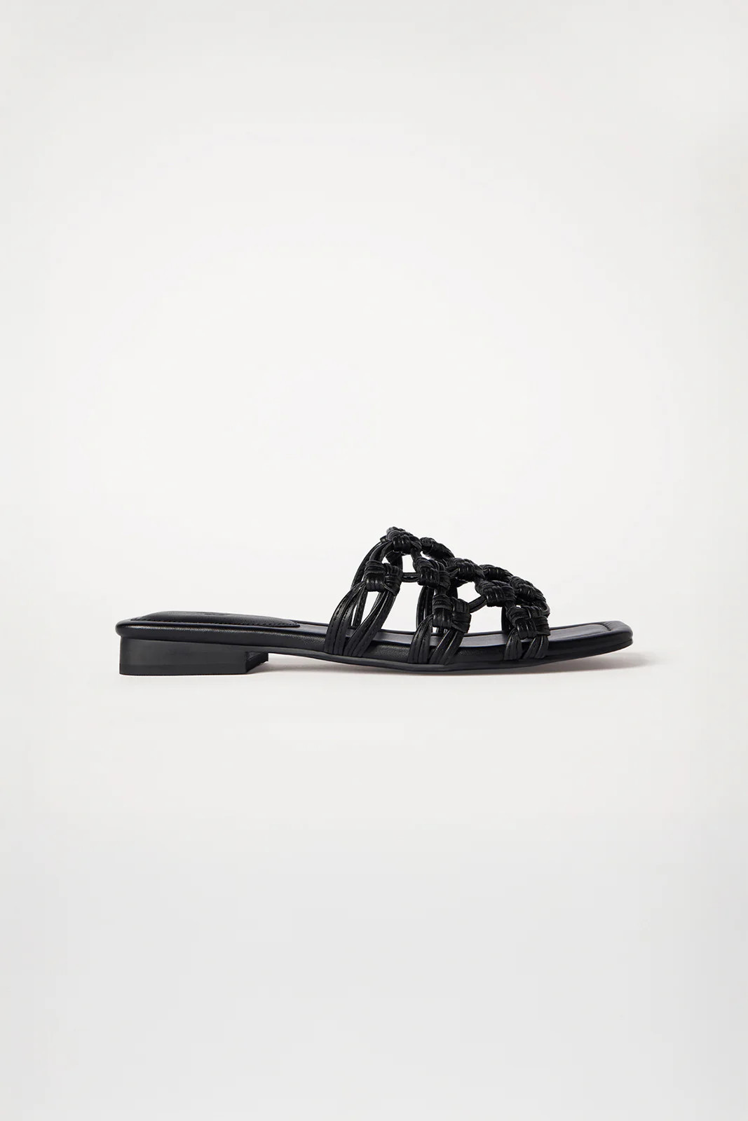 Elka Collective | Elka Collective (AU, UK, US, NZ)