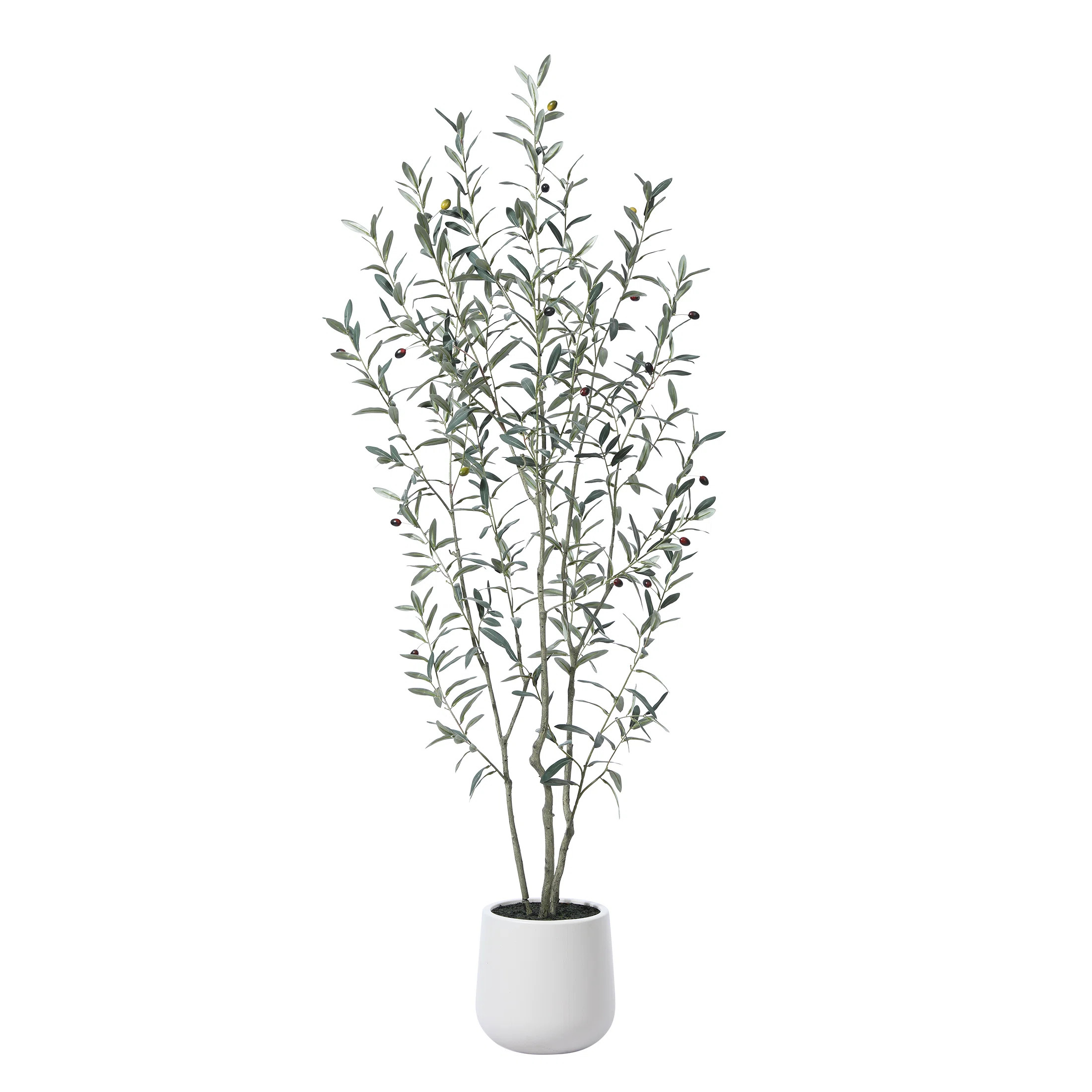 Adcock Fake Plastic Olive Tree with Oval White Planter, Pre Potted Faux Greenry Plant for Home De... | AllModern