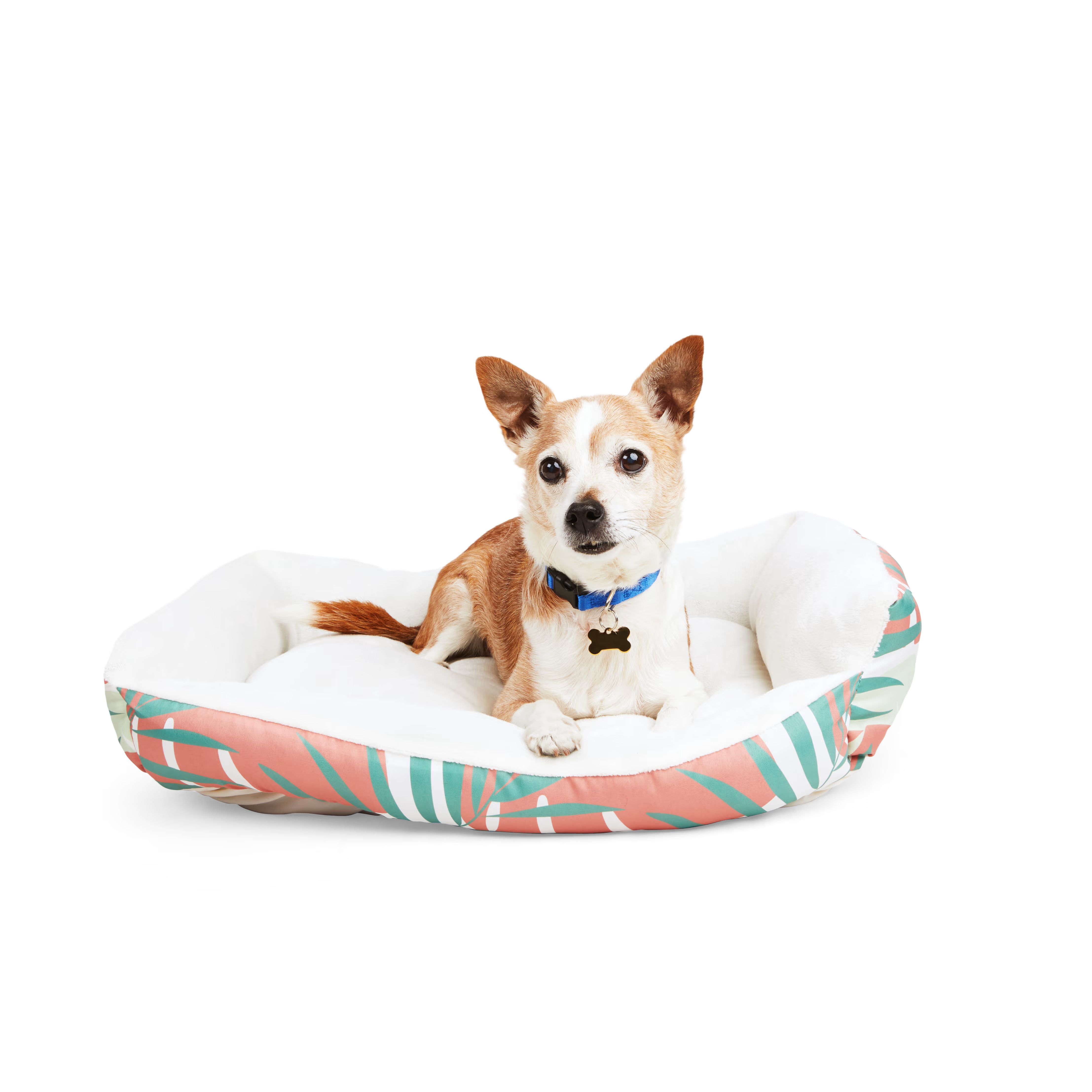 EveryYay Palm Nester Dog Bed, 36" L X 30" W | Petco