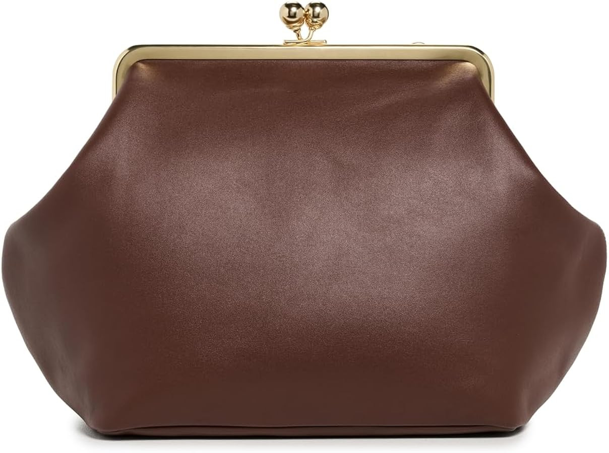 Coach Large Kisslock Frame Bag | Amazon (US)