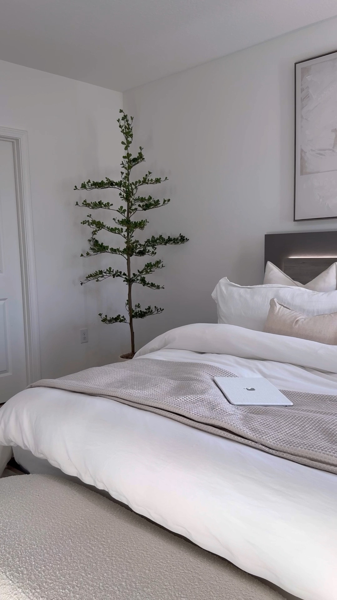 Cozy corner — faux black olive tree🌱☁️