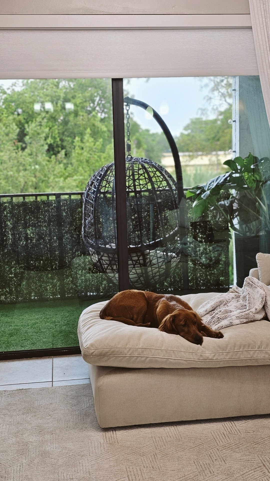 Motorized Roller Shades with Remote Blackout Blinds | Multi Color☺️☁️

#LTKActive #LTKHome #LTKU