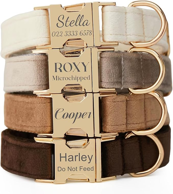 Personalized Velvet Dog Collar with Name & Phone, Multi-Color Options, Metal Quick-Release Buckle... | Amazon (US)