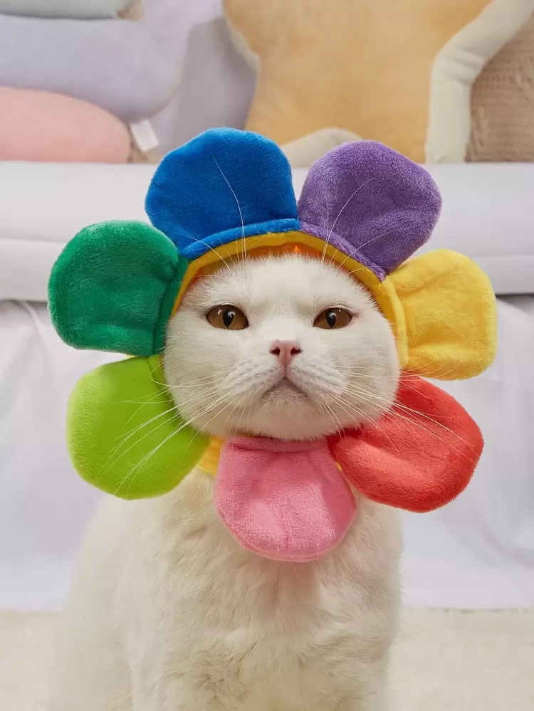 Flower Design Pet Headwear | SHEIN