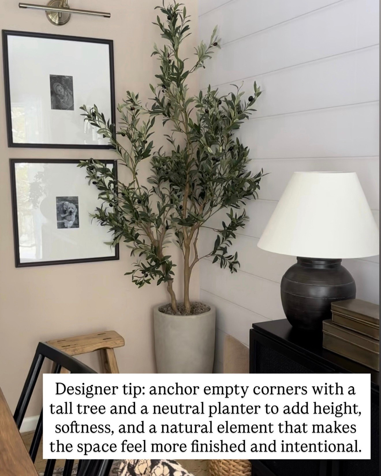 Faux Olive Tree Corner Styling for a Finished, Designer Look
Follow @farmtotablecreations on Instagram for daily home inspiration, styling tips, and shoppable finds.

Empty corners can make a space feel unfinished, and this is one of my favorite easy fixes. A tall faux olive tree paired with a simple neutral planter adds instant height, softness, and an organic touch that balances hard finishes like shiplap and framed art. It’s a timeless way to warm up a room and make it feel intentional without adding clutter.

Everything here is linked and easy to recreate in your own space.

#homedecor #oliveTree #planter #neutraldecor #cornerstyling #livingroomdecor #modernorganic #homeinspo #decorinspo

#LTKSaleAlert #LTKFindsUnder50 #LTKHome
