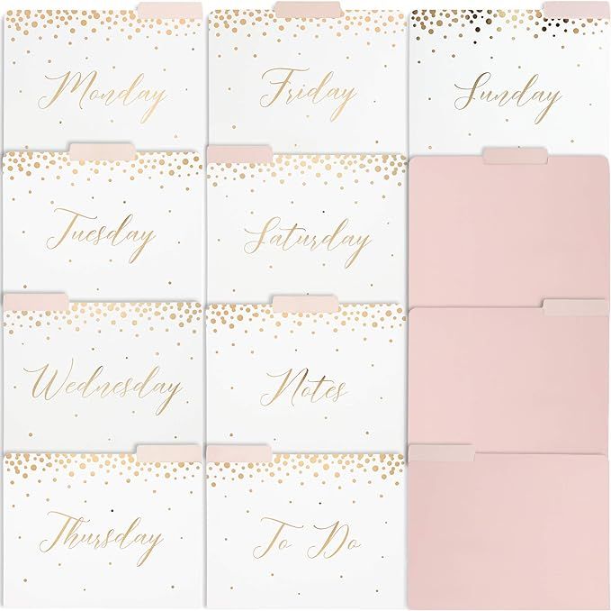 Paper Junkie 12-Pack Decorative File Folders, Daily, 9 x 11.5 Inches | Amazon (US)