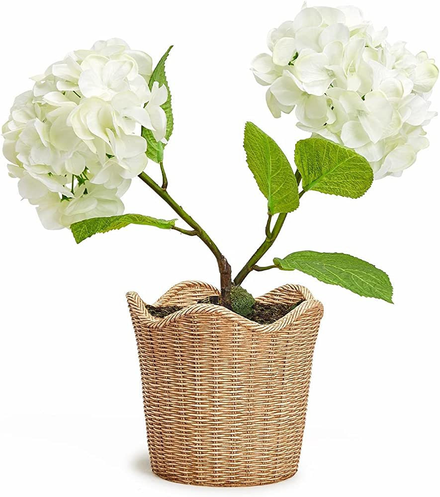 Two's Company Two's Company Scalloped Edge Basket Weave Pattern Cachepot - Resin | Amazon (US)