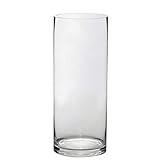 BalsaCircle 6 pcs 12-Inch Tall Clear Glass Cylinder Vases Wedding Party Flowers Centerpieces Home De | Amazon (US)