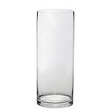 BalsaCircle 6 pcs 12-Inch Tall Clear Glass Cylinder Vases Wedding Party Flowers Centerpieces Home De | Amazon (US)