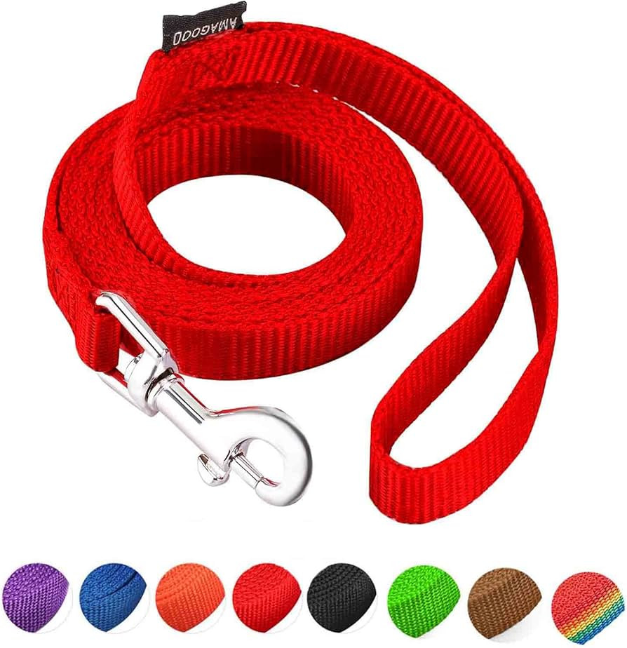6 FT Puppy/Dog Leash, Strong and Durable Traditional Style Leash with Easy to Use Collar Hook,Dog... | Amazon (US)