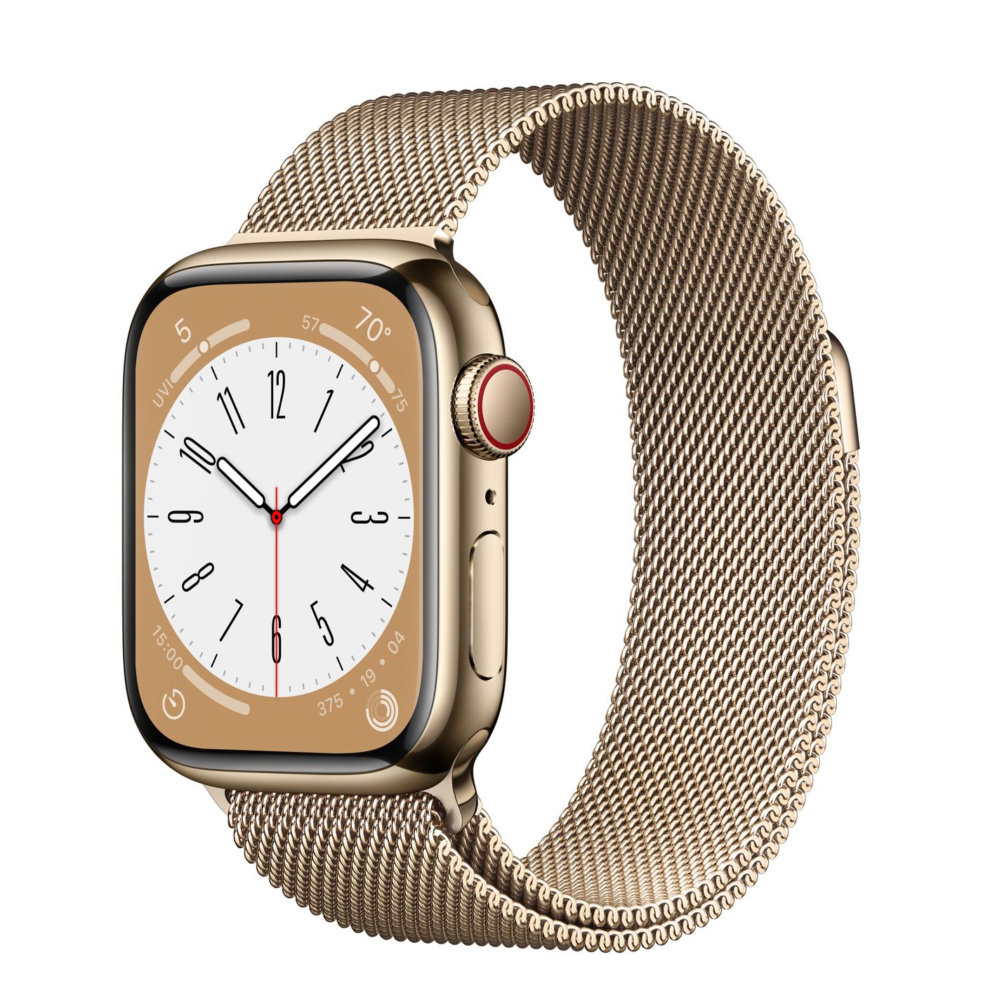 Gold Stainless Steel Case with Leather Link | Apple (US)